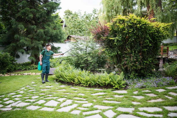 Best Affordable Pest Control Services  in New Vienna, OH