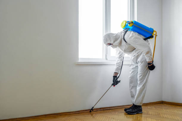 Best Wildlife Control Services  in New Vienna, OH