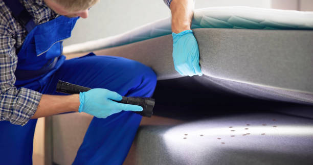 Best Pest Control for Restaurants  in New Vienna, OH