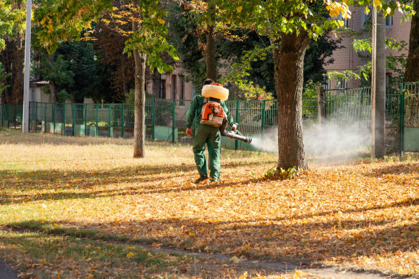 Best Ant Control Services  in New Vienna, OH
