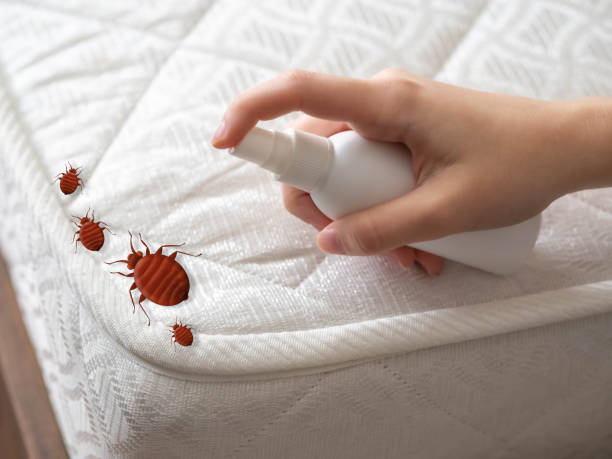 Pest Control for Restaurants in New Vienna, OH