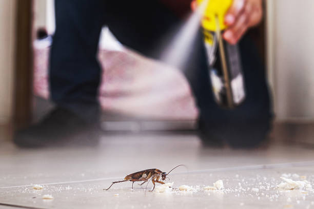 Best Best Pest Control Companies  in New Vienna, OH