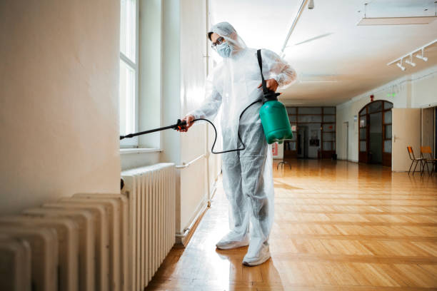 Best Wasp Removal Services  in New Vienna, OH