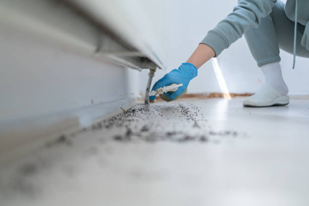 Best Pest Inspection Near Me  in New Vienna, OH